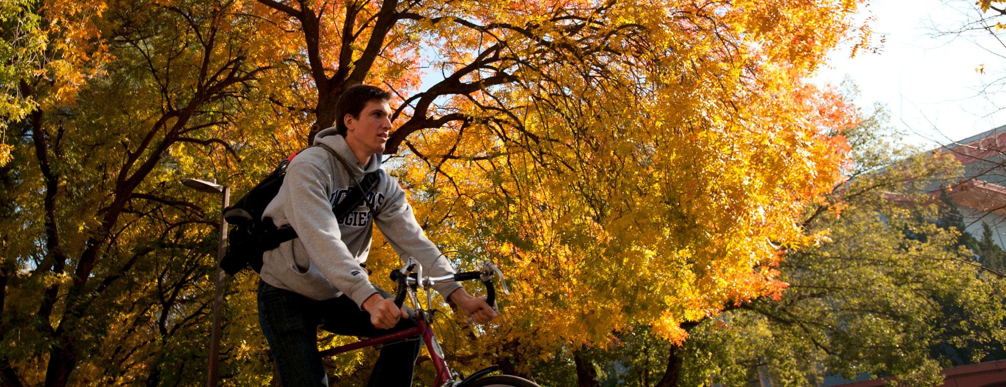 A male student rides his bicycle under the Fall foliage on the ϲʿͼ campus