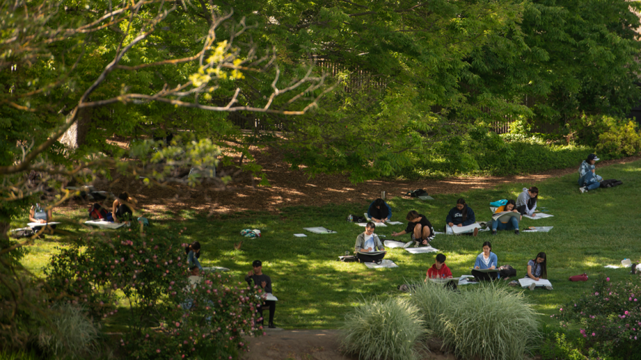 students studying under the trees in the ϲʿͼ Arboretum