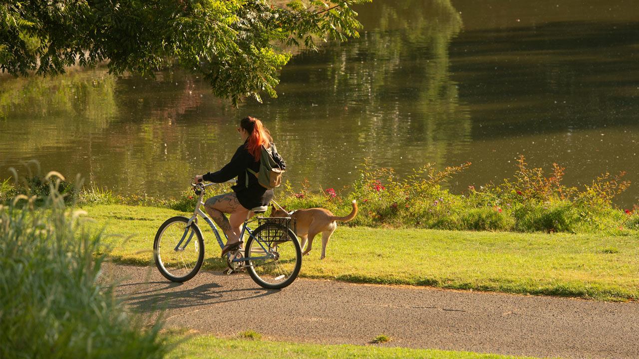 A student rides her bike through the ϲʿͼ Arboretum while her dog jogs alongside.